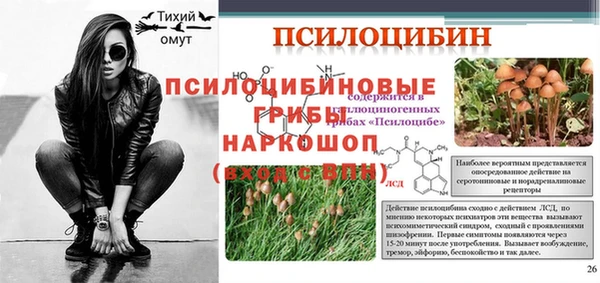 apvp Арсеньев