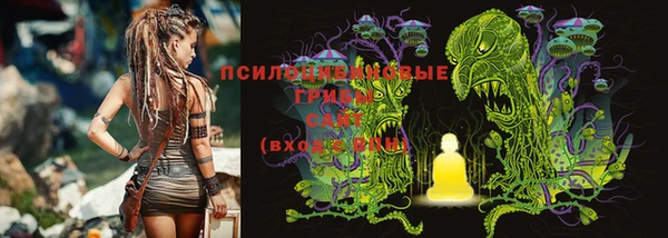 2c-b Балахна